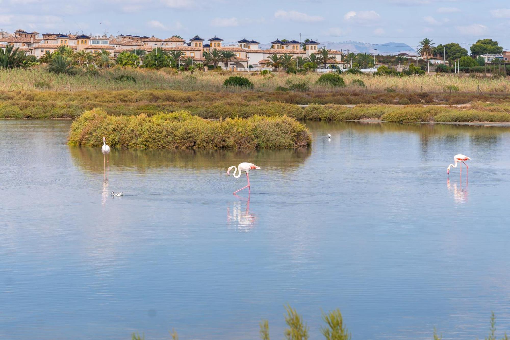 Menabrea Holiday House Near The Beach And Airport サンタ・ポラ エクステリア 写真